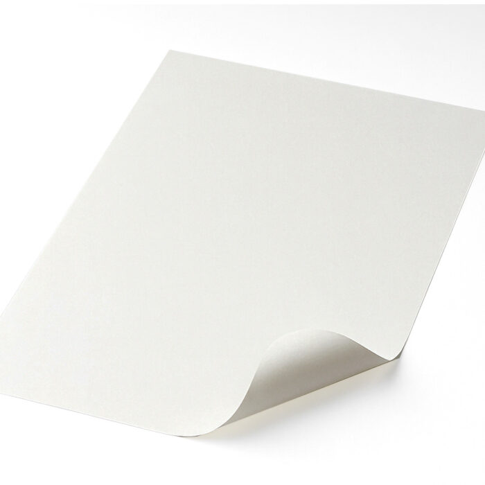 Pliego de cartulina Blanca